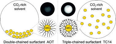 Graphical abstract: Stabilization of CeO2nanoparticles in a CO2 rich solvent