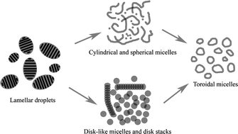 Graphical abstract: Origins of toroidal micelle formation through charged triblock copolymer self-assembly