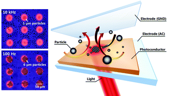 Graphical abstract: Rapid and selective concentration of microparticles in an optoelectrofluidic platform