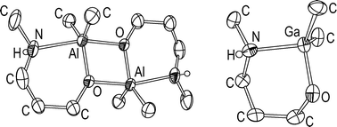 Graphical abstract: Organo-aluminium and -gallium complexes with ω-NH-functional alkoxide ligands