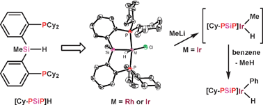 Graphical abstract: Room temperature benzene C–H activation by a new [PSiP]Ir pincer complex