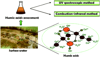 Graphical abstract: Quantification of humic acids in surface water: effects of divalent cations, pH, and filtration