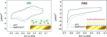 Graphical abstract: Self-assembled dithiothreitol on Au surfaces for biological applications: phospholipid bilayer formation