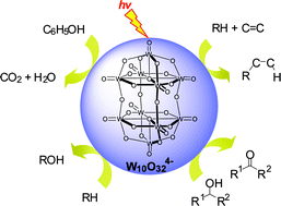 Graphical abstract: Decatungstate as an efficient photocatalyst in organic chemistry