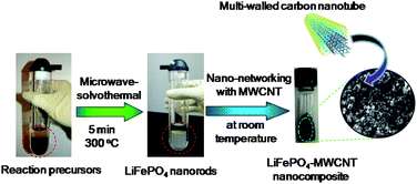 Graphical abstract: Nanoscale networking of LiFePO4nanorods synthesized by a microwave-solvothermal route with carbon nanotubes for lithium ion batteries