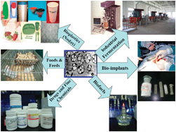 Graphical abstract: A microbial polyhydroxyalkanoates (PHA) based bio- and materials industry