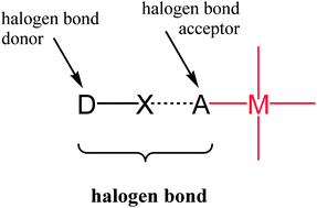 Graphical abstract: Combining metals with halogen bonds