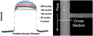 Graphical abstract: The deformation of flexible PDMS microchannels under a pressure driven flow