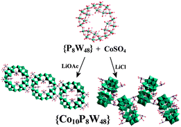 Graphical abstract: Controlling nucleation of the cyclic heteropolyanion {P8W48}: a cobalt-substituted phosphotungstate chain and network