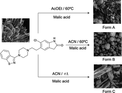 Graphical abstract: Ziprasidone malate, a new trimorphic salt with improved aqueous solubility