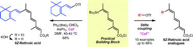 Graphical abstract: Caesium fluoride-promoted Stille coupling reaction: an efficient synthesis of 9Z-retinoic acid and its analogues using a practical building block