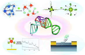Graphical abstract: Functional DNA directed assembly of nanomaterials for biosensing