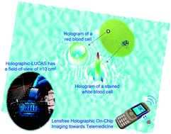 Graphical abstract: Lensfree holographic imaging for on-chip cytometry and diagnostics