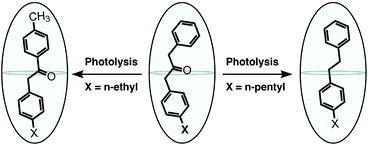 Graphical abstract: Consequences of controlling free space within a reaction cavity with a remote alkyl group: photochemistry of para-alkyl dibenzyl ketones within an organic capsule in water