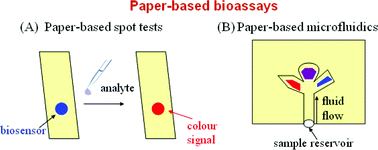 Graphical abstract: Lab on paper