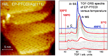 Graphical abstract: Assembly and thermal stability of thin EP-PTCDI films on Ag(111)