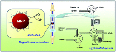 Graphical abstract: Magnetic nano-adsorbent integrated with lab-on-valve system for trace analysis of multiple heavy metals