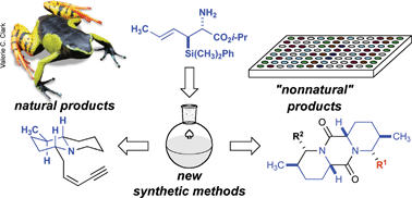 Graphical abstract: Naturally diverse: highlights in versatile synthetic methods enabling target- and diversity-oriented synthesis
