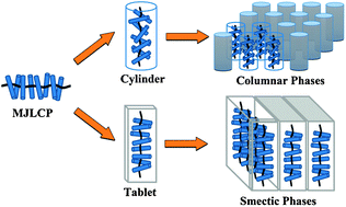 Graphical abstract: Mesogen-jacketed liquid crystalline polymers