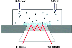 Graphical abstract: Phenol chemisorption onto phthalocyanine thin layers probed by ATR-FTIR difference spectroscopy