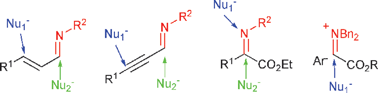 Graphical abstract: Conjugated imines and iminium salts as versatile acceptors of nucleophiles