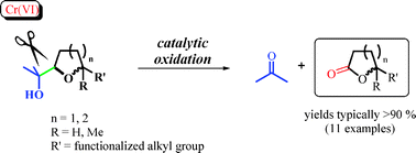 Graphical abstract: A new catalytic oxidative cleavage reaction to furnish lactones