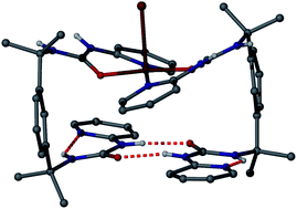 Graphical abstract: Structural similarity of hydrogen-bonded and metal-coordinated abiotic base pairs allows oligonucleotide-like mutual stacking,