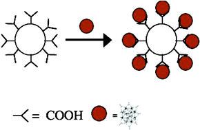 Graphical abstract: Surface attached manganese–oxo clusters as potential contrast agents