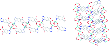 Graphical abstract: Two cobalt(II) coordination polymers [Co2(H2O)4(Hbidc)2]n and [Co(Hbidc)]n (Hbidc = 1H-benzimidazole-5,6-dicarboxylate): syntheses, crystal structures, and magnetic properties