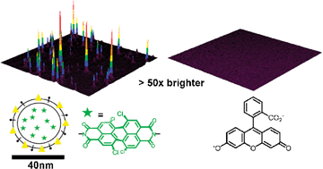 Graphical abstract: Twisted perylene dyes enable highly fluorescent and photostable nanoparticles