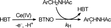 Graphical abstract: Hydrogen atom abstraction from C–H bonds of benzylamides by the aminoxyl radical BTNO: A kinetic study
