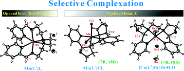 Graphical abstract: Selective complexation of 3d metal(ii) ions with multidentate and chiral isomers derived from condensation of 2-pyridinecarboxaldehyde with triethylenetetramine