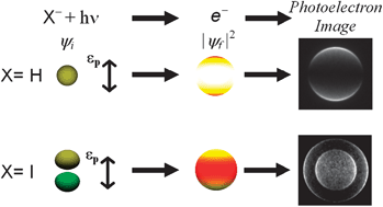 Graphical abstract: Photoelectron imaging: an experimental window into electronic structure