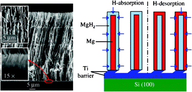 Graphical abstract: Improved hydrogen storage properties of a V decorated Mg nanoblade array