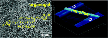 Graphical abstract: Organic single-nanofiber transistors from organogels