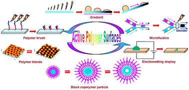 Graphical abstract: Active and responsive polymer surfaces
