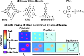 Graphical abstract: Solid state NMR investigation of photoresist molecular glasses including blend behavior with a photoacid generator