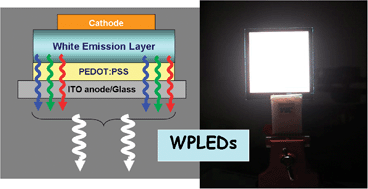 Graphical abstract: Progress and perspective of polymer white light-emitting devices and materials