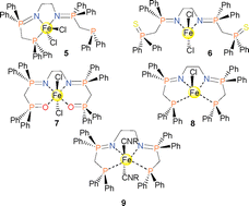 Graphical abstract: Coordination of tetradentate X2N2 (X = P, S, O) ligands to iron(ii) metal center and catalytic application in the transfer hydrogenation of ketones