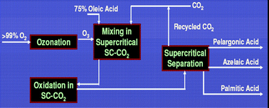 Graphical abstract: Supercritical-fluid-assisted oxidation of oleic acid with ozone and potassium permanganate