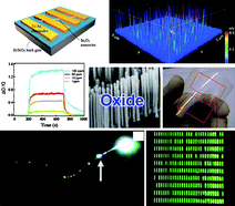 Graphical abstract: Devices and chemical sensing applications of metal oxide nanowires