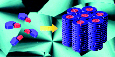 Graphical abstract: Self-assembly of functional columnar liquid crystals
