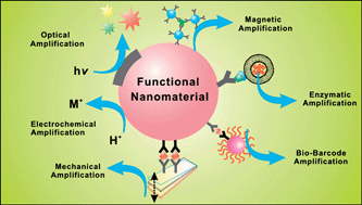 Graphical abstract: Functional nanomaterial-based amplified bio-detection strategies