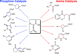 Graphical abstract: Enantioselective catalysis and complexity generation from allenoates