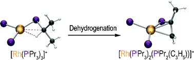 Graphical abstract: Alkyl dehydrogenation in a Rh(i) complex via an isolated agostic intermediate