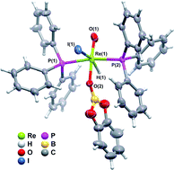 Graphical abstract: Activation of B–H bonds by an oxo-rhenium complex