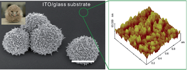Graphical abstract: Substrate surface roughness-dependent 3-D complex nanoarchitectures of gold particles from directed electrodeposition