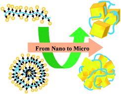 Graphical abstract: Cysteine-grafted chitosan-mediated gold nanoparticle assembly: from nanochains to microcubes