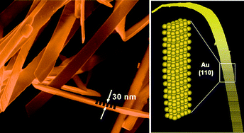 Graphical abstract: Fabrication of single crystalline gold nanobelts