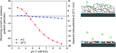 Graphical abstract: Temperature dependent physicochemical properties of poly(N-isopropylacrylamide-co-N-(1-phenylethyl) acrylamide) thin films